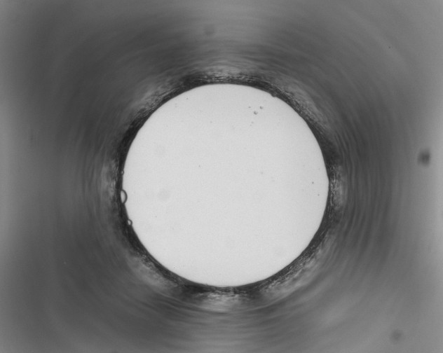 X0000116820458201001151208