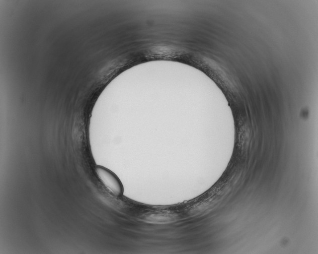 X0000116820459201001151208