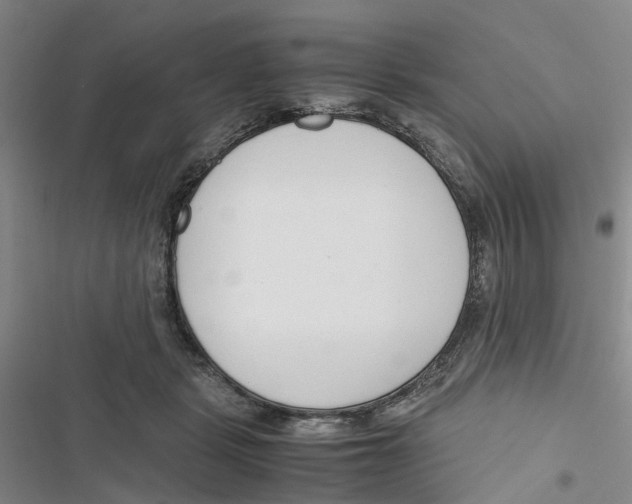 X0000116820461201001151208