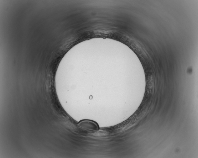 X0000116820463201001151208