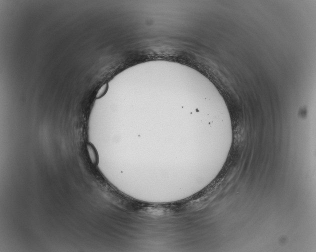 X0000116820464201001151208