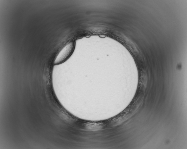 X0000116820465201001151208