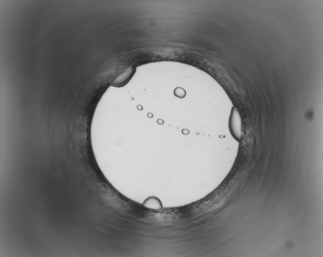 X0000116820466201001151208