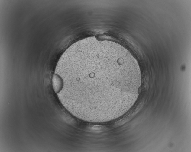 X0000116820467201001151209