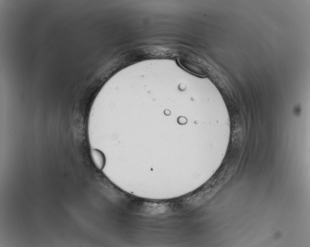 X0000116820469201001151209