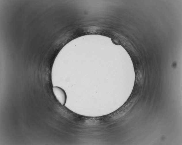 X0000116820470201001151209