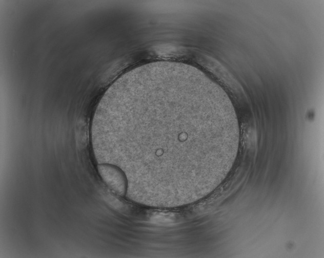 X0000116820471201001151209