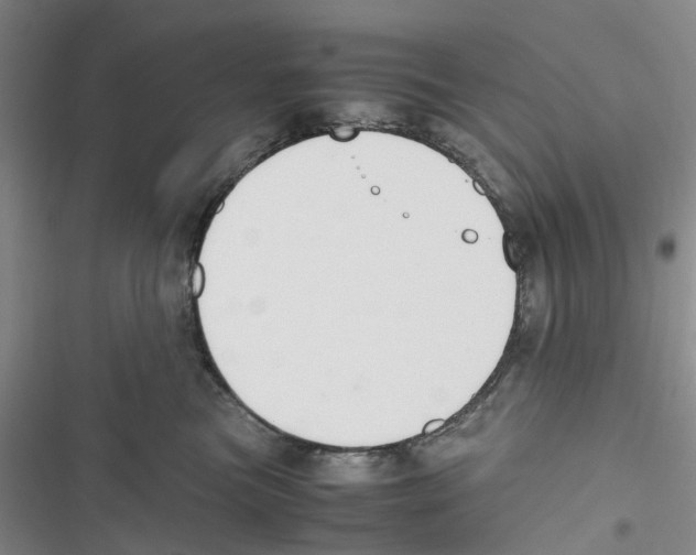 X0000116820473201001151209