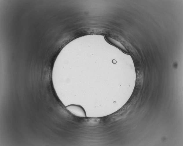 X0000116820474201001151209