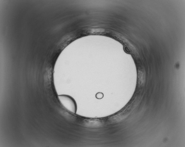 X0000116820475201001151209