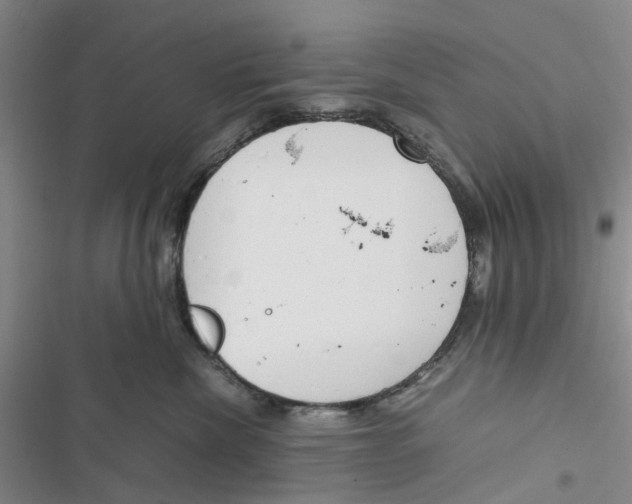 X0000116820476201001151209