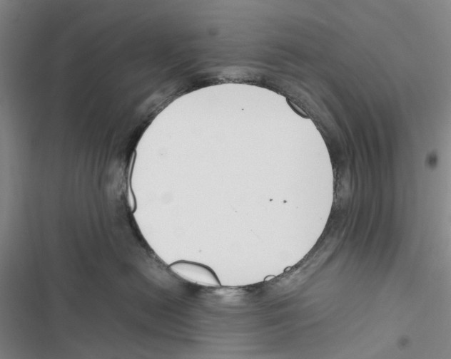 X0000116820478201001151209