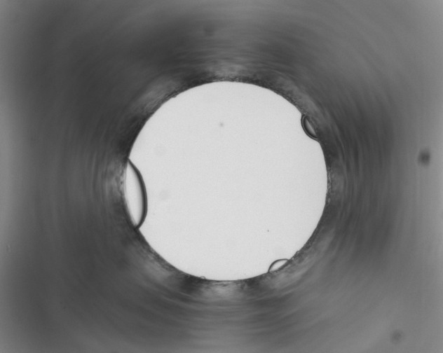 X0000116820479201001151209