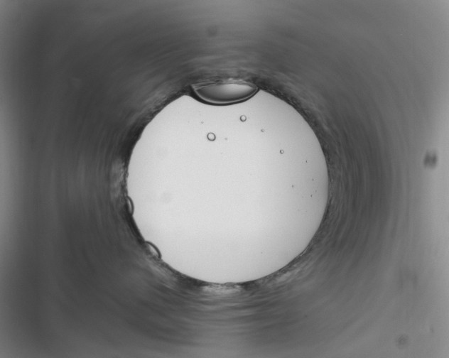 X0000116820480201001151209