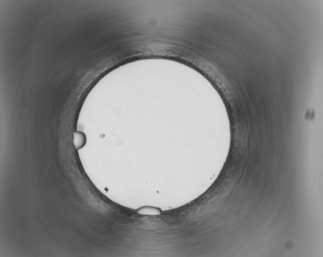 X0000116820481201001151208