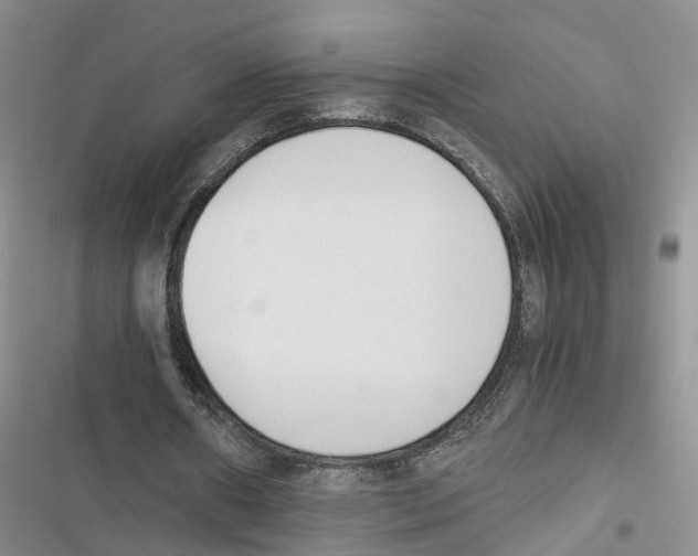 X0000116820482201001151208