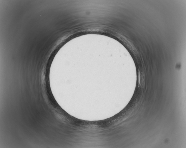 X0000116820483201001151208