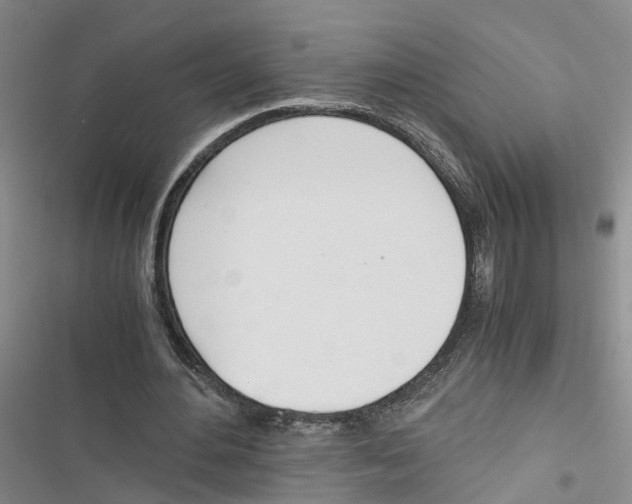 X0000116820484201001151208