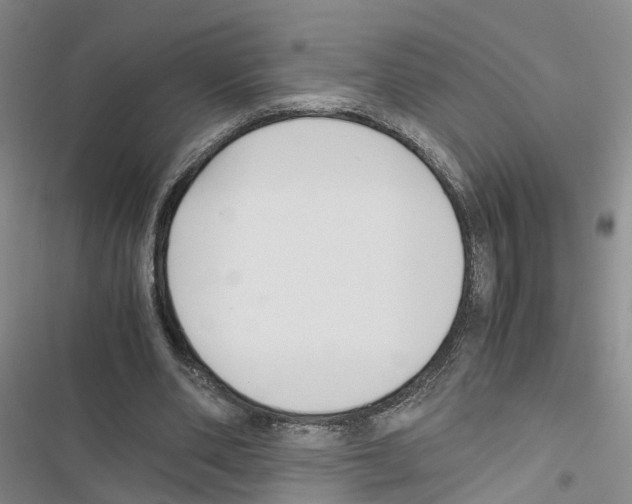 X0000116820486201001151208