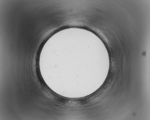 X0000116820487201001151208