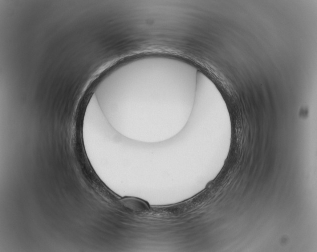 X0000116820488201001151208