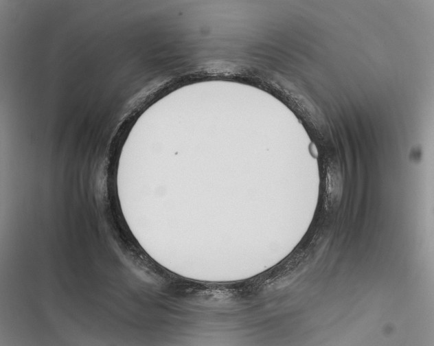 X0000116820492201001151208