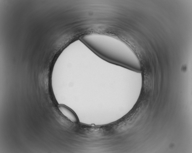 X0000116820493201001151208