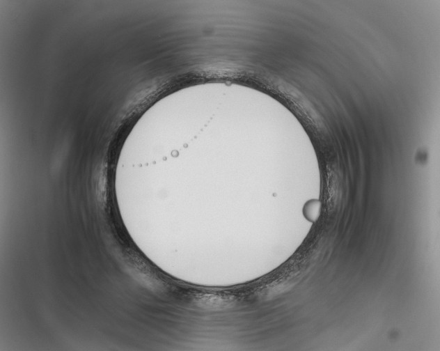 X0000116820494201001151208