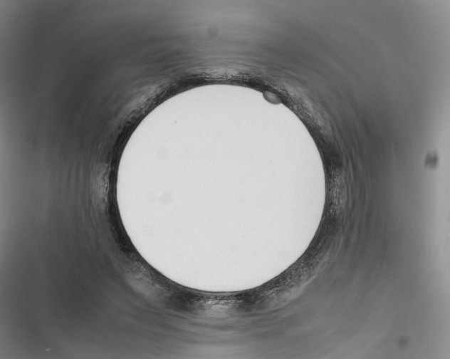 X0000116820495201001151208