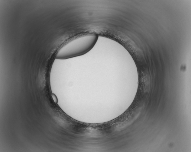 X0000116820496201001151208