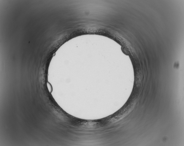 X0000116820497201001151208