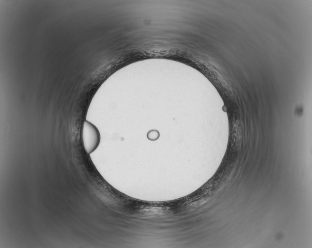 X0000116820499201001151208