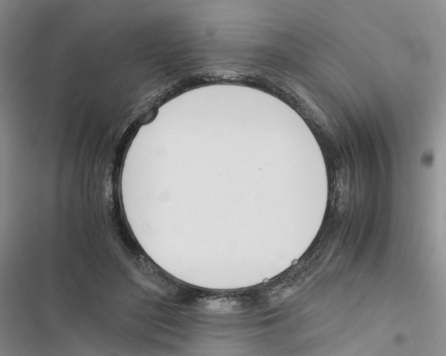 X0000116820500201001151208