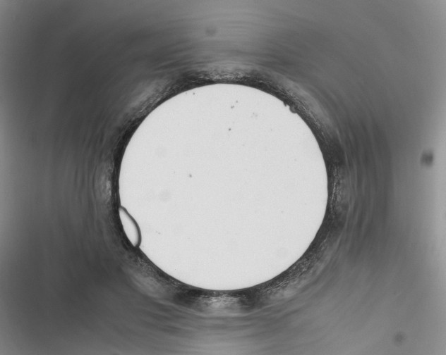 X0000116820501201001151208