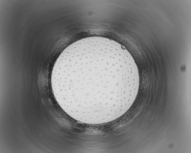 X0000116820502201001151208