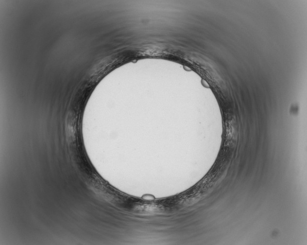 X0000116820503201001151208