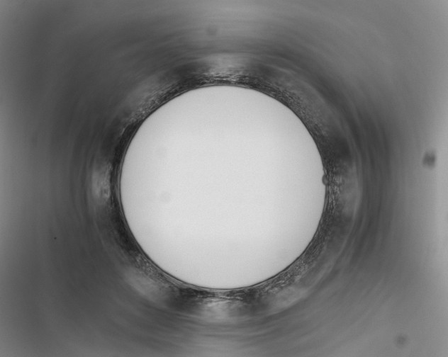 X0000116820504201001151208