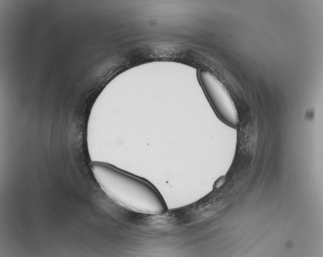 X0000116820505201001151208