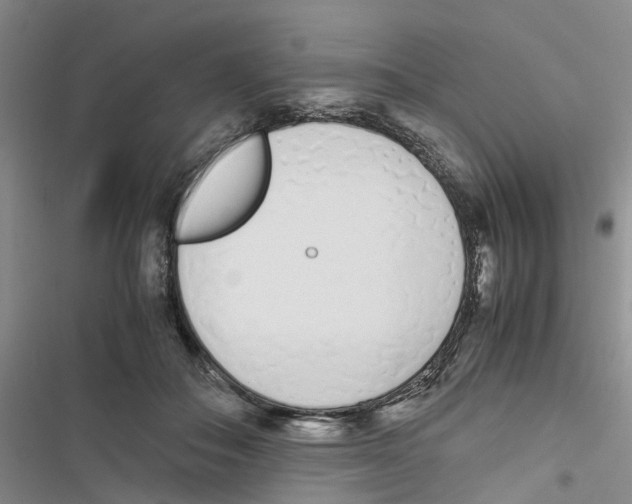 X0000116820506201001151208