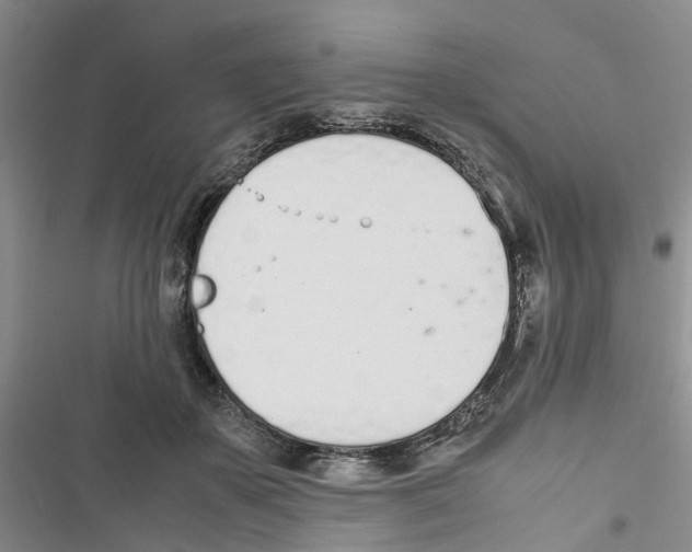 X0000116820507201001151208