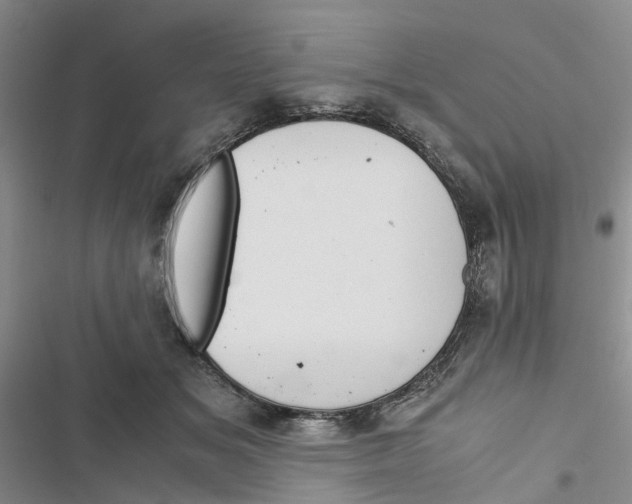 X0000116820509201001151208