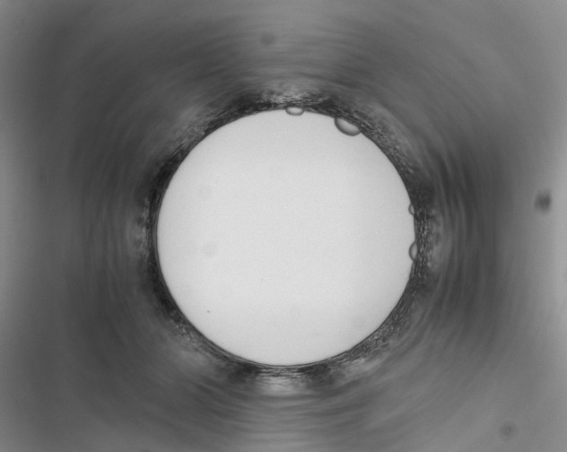 X0000116820510201001151208