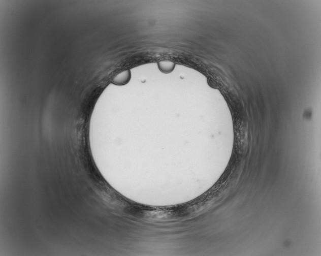 X0000116820511201001151208