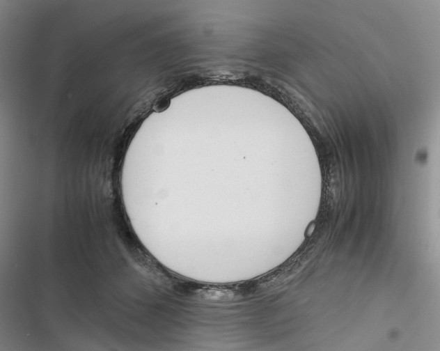 X0000116820512201001151208