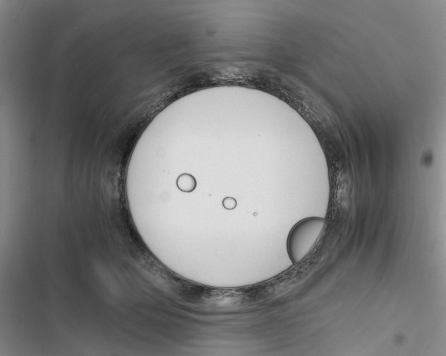 X0000116820514201001151208