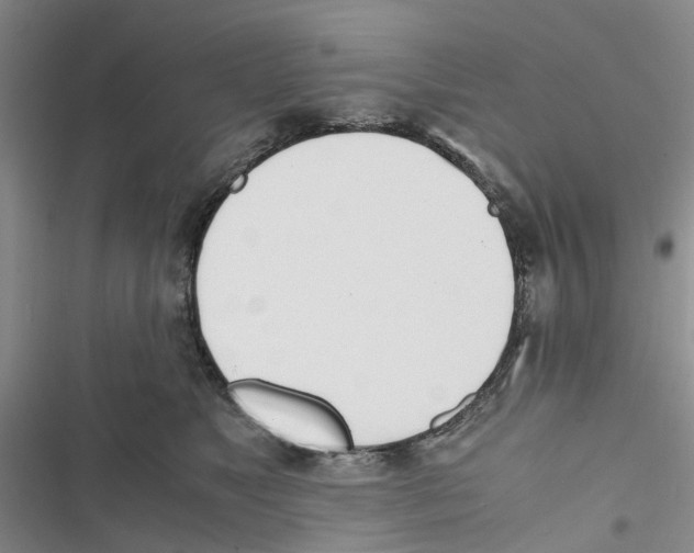 X0000116820517201001151208