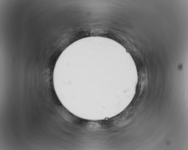 X0000116820519201001151208