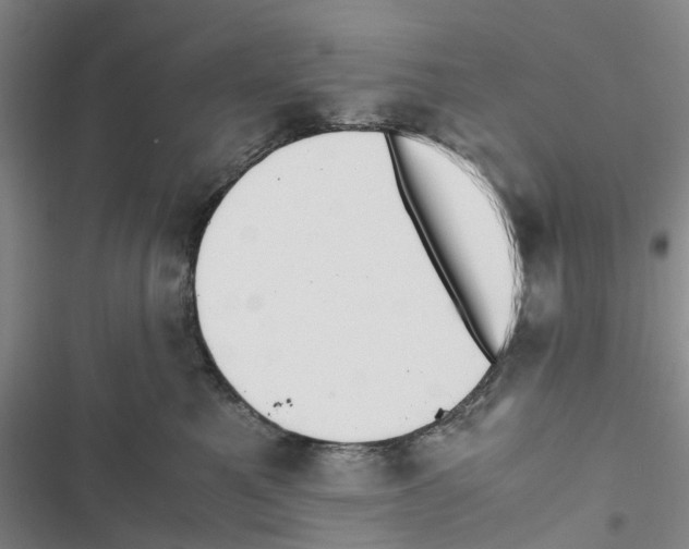 X0000116820521201001151207