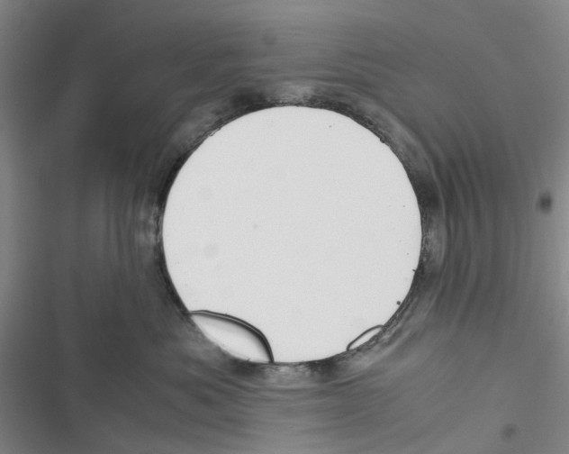 X0000116820525201001151207