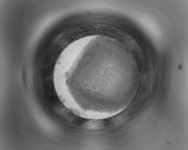 X0000116820526201001151207